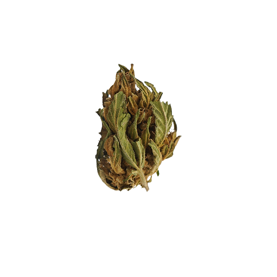 Banana CBG Small Buds