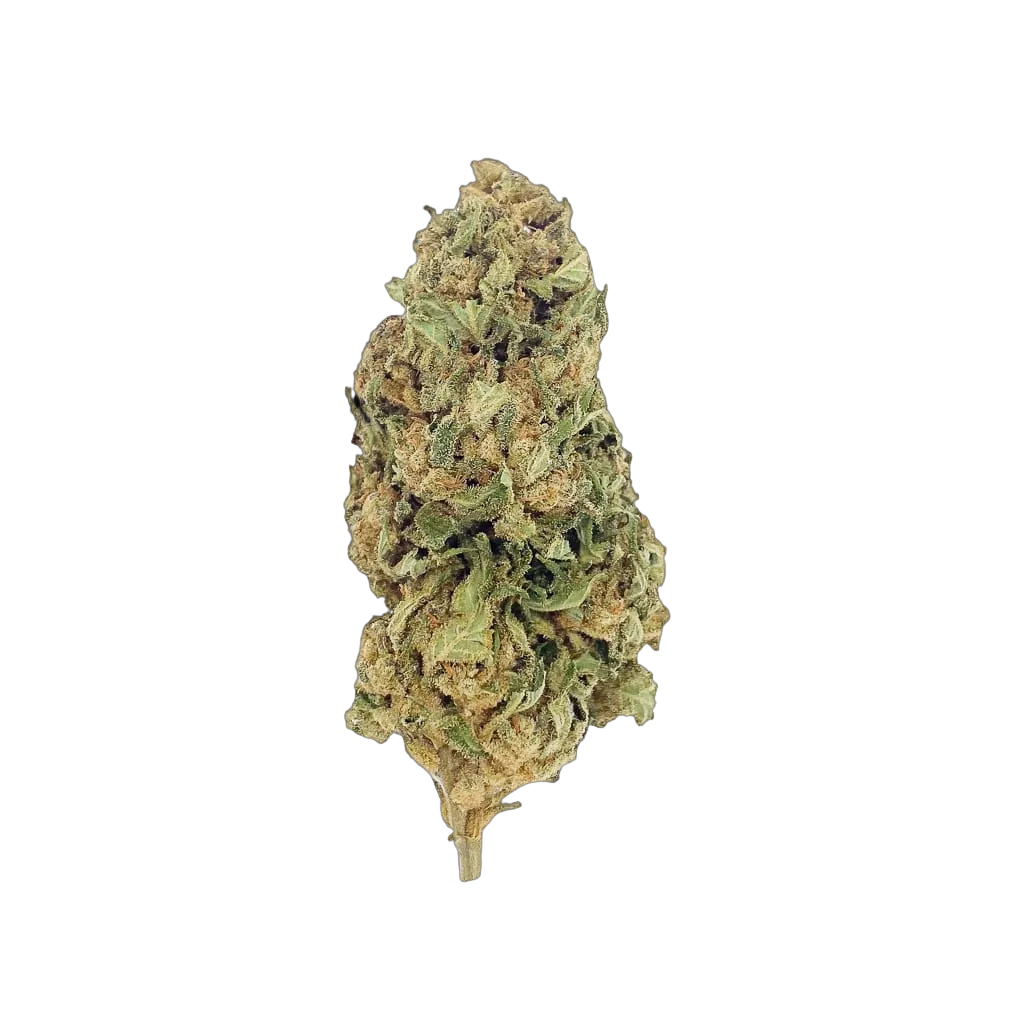 Lemon 10 OH HHC