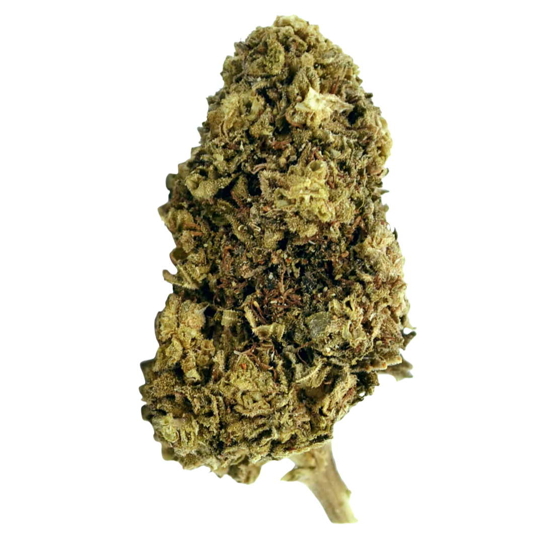 Northern Lights CBD