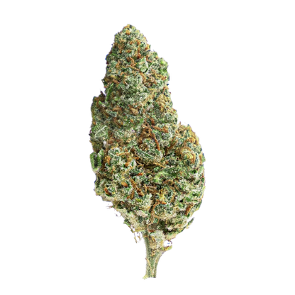 AMNESIA Kush
