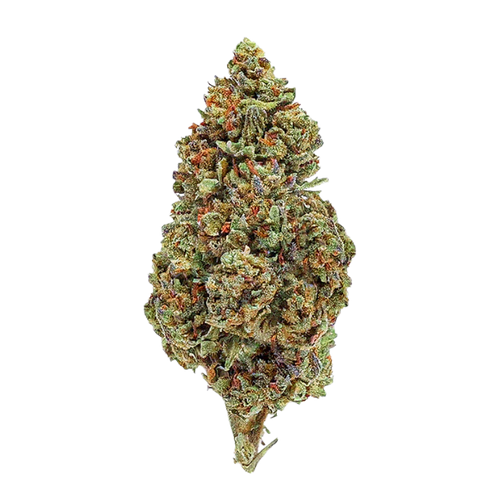 Strawberry 10-OH-HHC