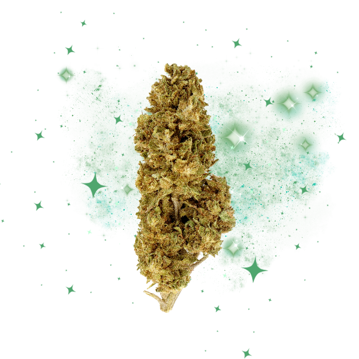 Fleur du mois CBD