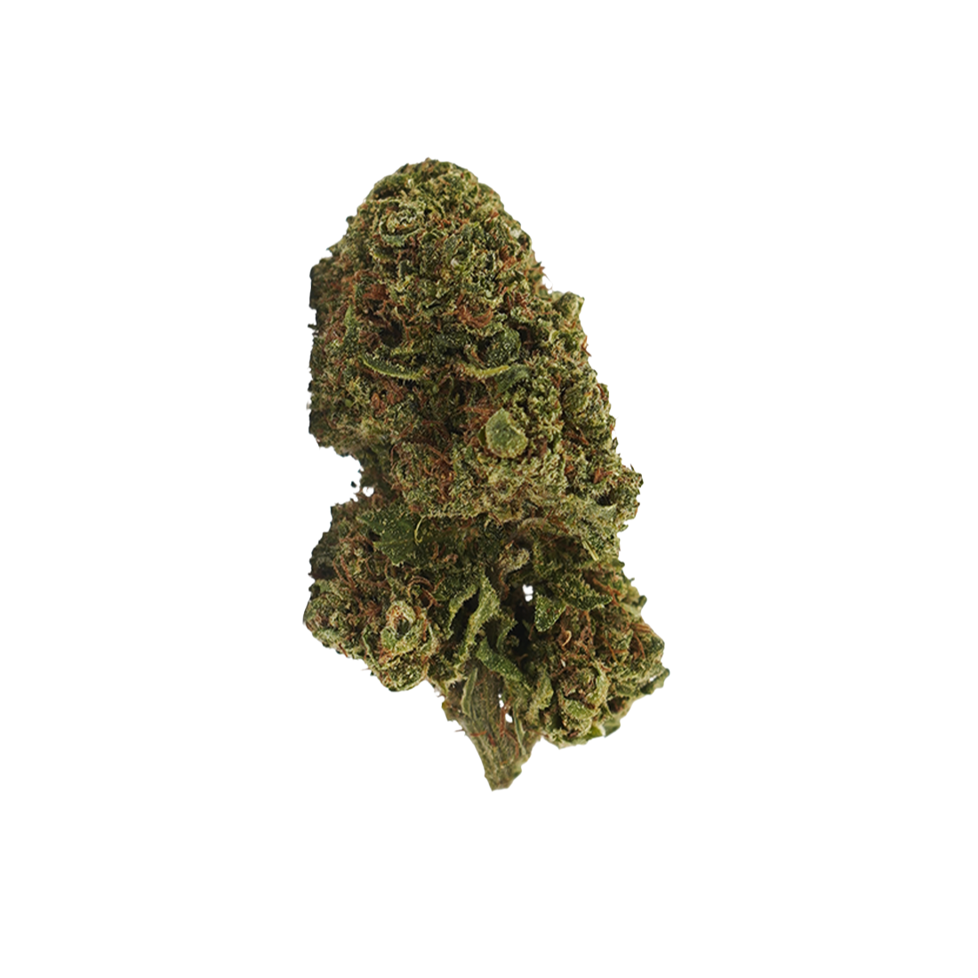 Cookie Kush CBD