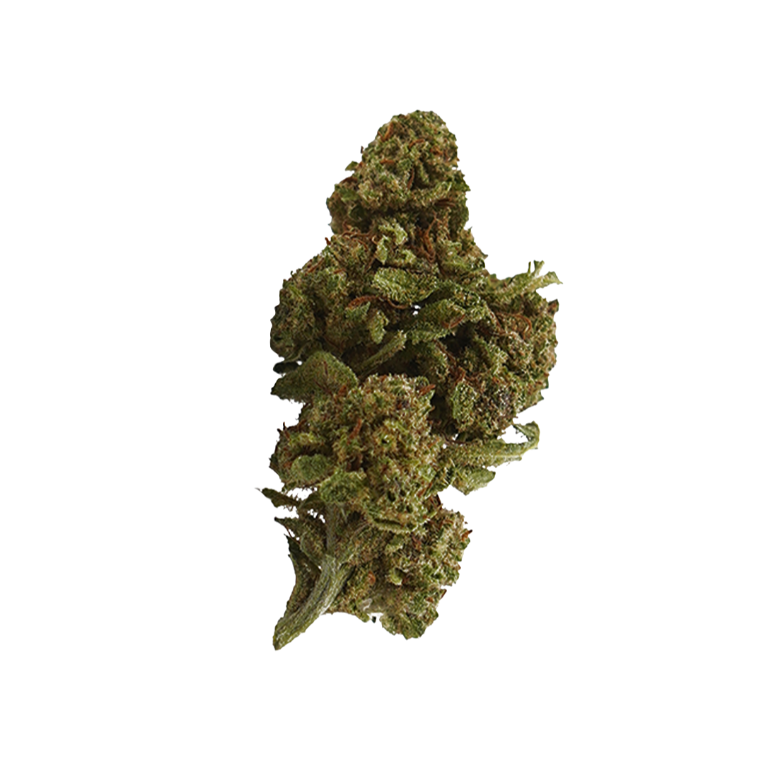 Critical+ 2.0 CBD