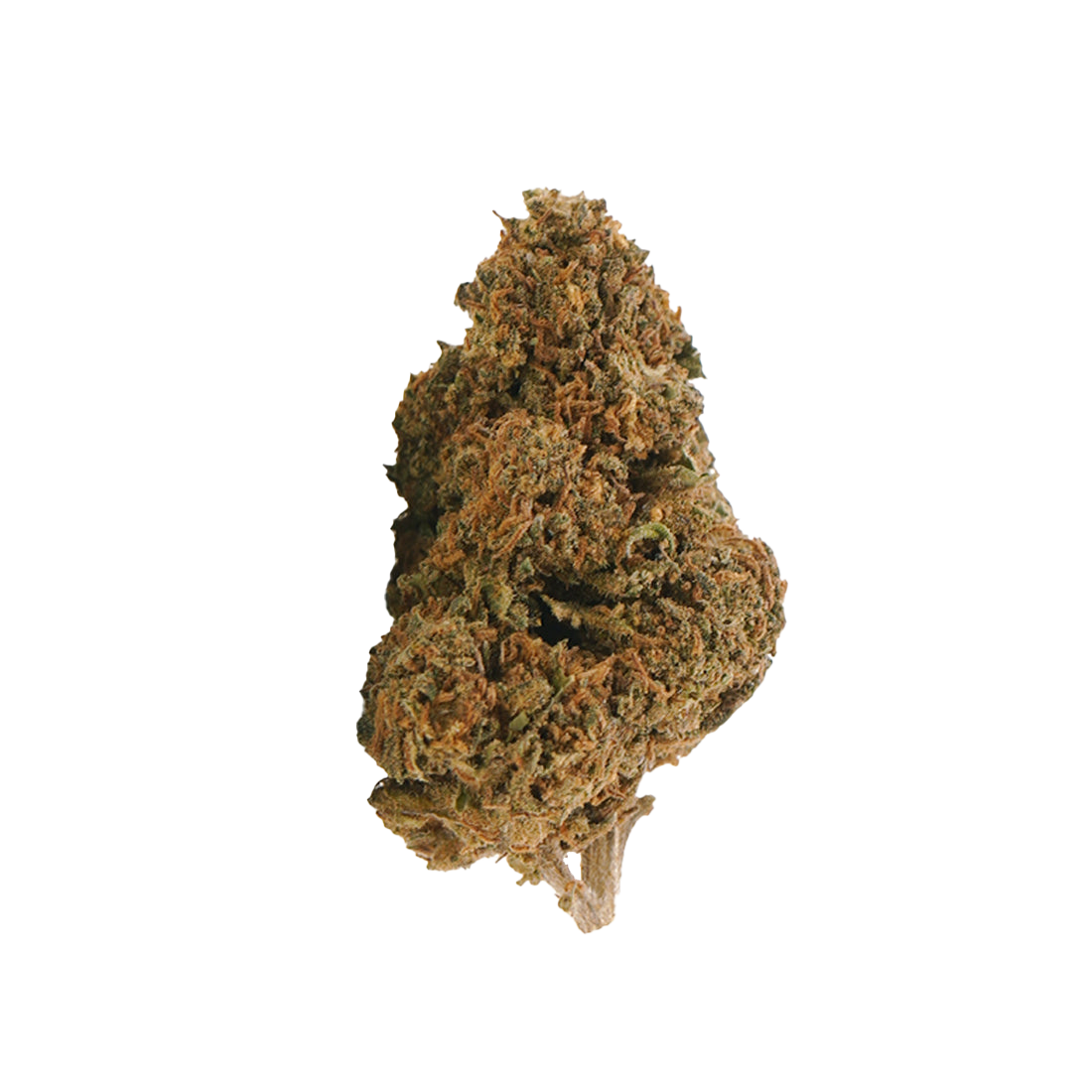 Jack Herer | 20% THCX 2.0