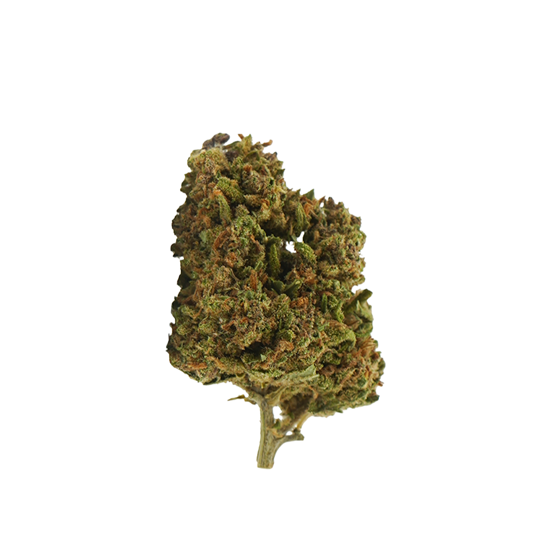 Tropical Haze CBD