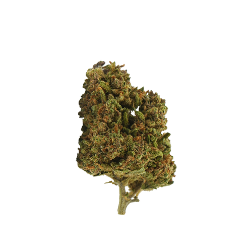 Tropical Haze CBD