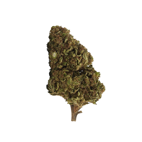 White Widow 10-OH-HHC