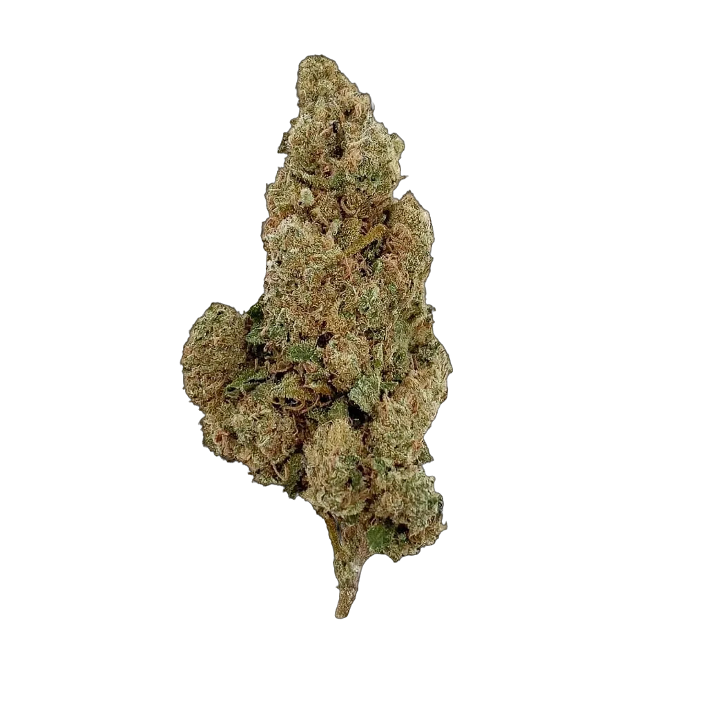 Amnesia 10-OH-HHC