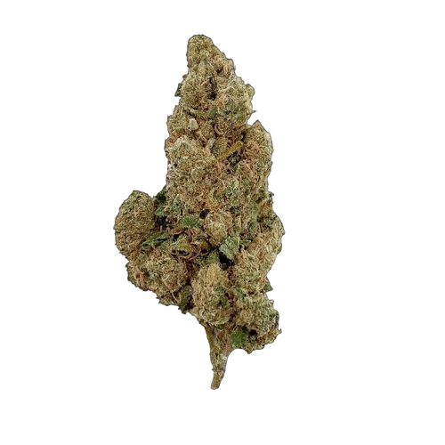 Amnesia 10-OH-HHC