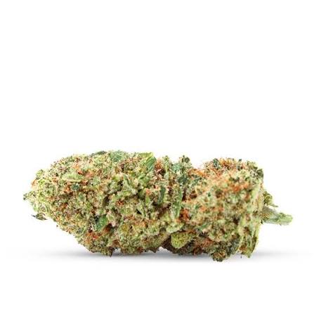 Cali GMO Cookies THCX 2.0