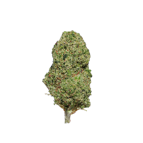 OG Kush CBD