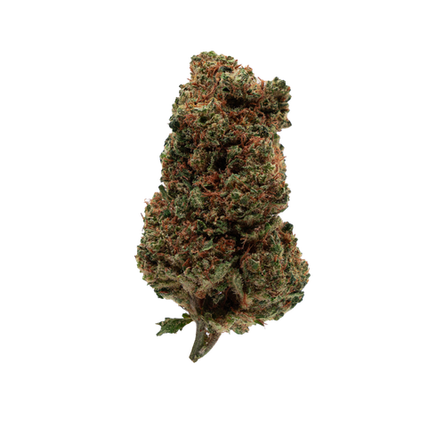Orange Bud CBD