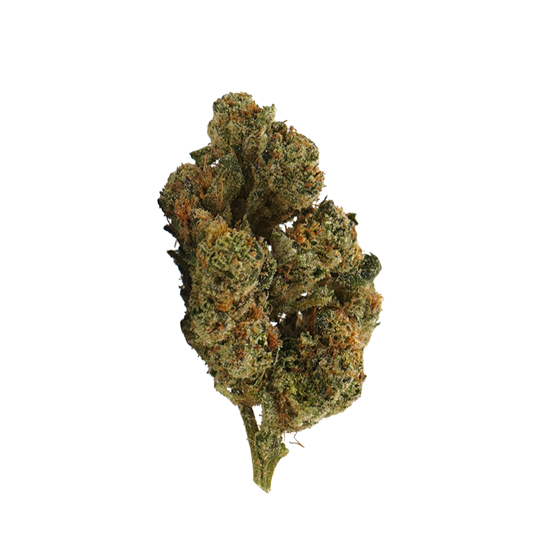 Plutonium CBD