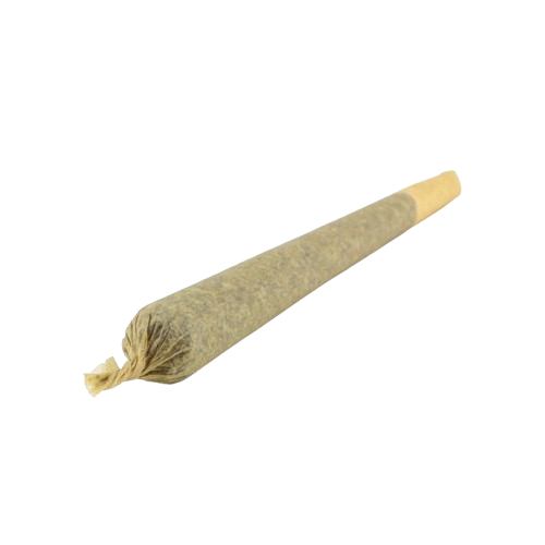 Preroll Lemon Haze