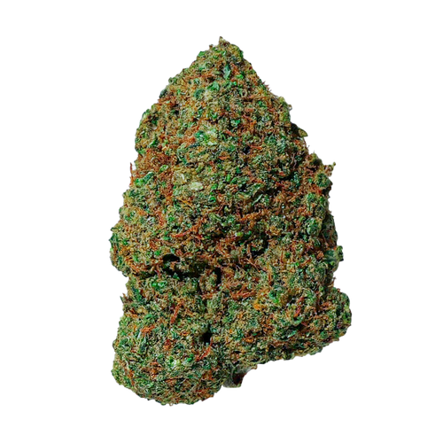 Amnesia 2.0 CBD